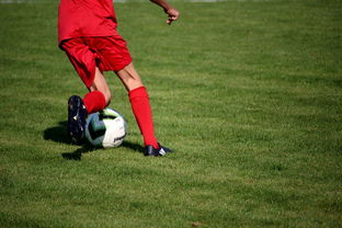 AIYOUXI.COM-中国篮球职业联赛俱乐部青训体系建设与实践探索，篮球青年训练营