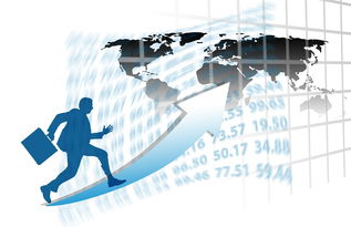 AYX GAMING-中国篮球职业联赛赛事运营风险评估与管理对策，篮球赛事安全风险